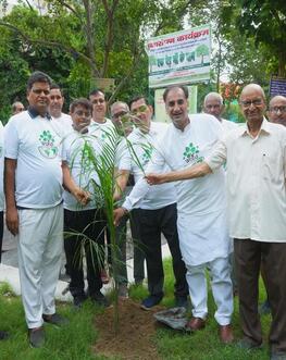Tree Plantation Drive under IYC-2025 on 27 July 2025