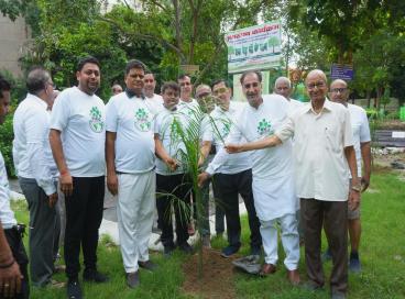 Tree Plantation Drive, IYC-2025 on 27 July 2025